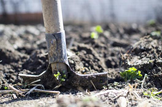 Quels sont les travaux de jardinage qui sont concernés par la réduction d’impôts ?